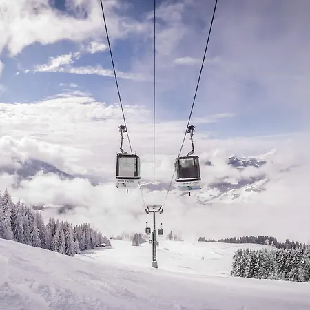 1 A - Animaux Admis Et Parking - Fr-1-453-98 *