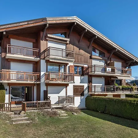 1 A - Animaux Admis Et Parking - Fr-1-453-98 * Megeve
