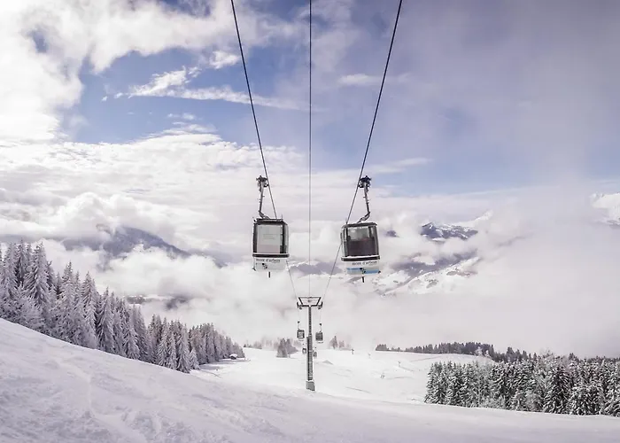 1 A - Animaux Admis Et Parking - Fr-1-453-98 Megève